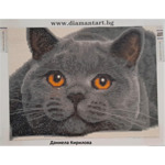 Диамантен Гоблен "Сиво Коте" - 30 x 40 см, Кръгли мъниста