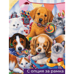 Диамантен Гоблен "Сладкиши" - 30 x 40 см, Кръгли мъниста