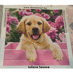 Диамантен Гоблен "Кученце с розови цветя" - 40 x 40 см, Кръгли мъниста