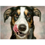 Диамантен Гоблен "Кучета на полянка" - 35 x 45 см, Кръгли мъниста-Copy