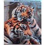 Диамантен Гоблен "Тигри" - 40 x 45 см, Квадратни мъниста