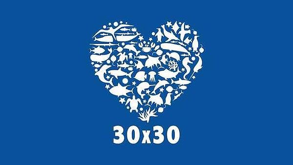 Знаете ли какво е 30x30?
