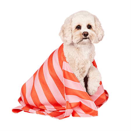 Бързосъхнеща кърпа за кучета Dog&Bay Coral