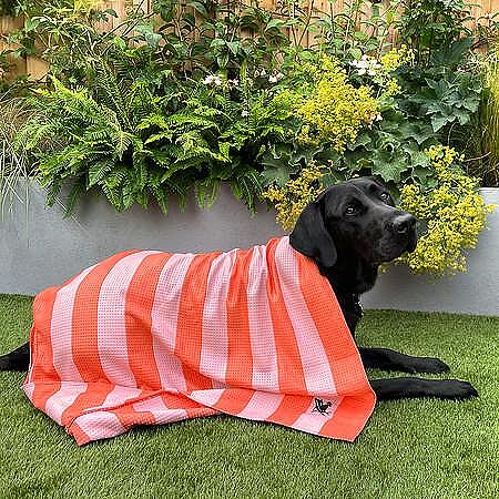 Бързосъхнеща кърпа за кучета Dog&Bay Coral