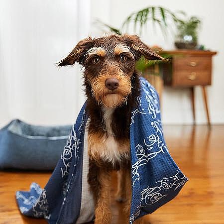 Бързосъхнеща кърпа за кучета Dog&Bay Bone-Copy