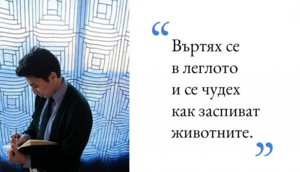 Интервю с Ил Сунг На, авторът на “Книжка за заспиването”