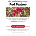 Some By Mi серум за проблемна/акнеична кожа с червено чаено дърво (50мл) / SOME BY MI - Red Tea Tree Cicassoside Derma Solution Serum