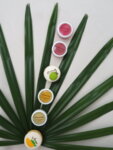 Балсам за устни Tropicana Oil
