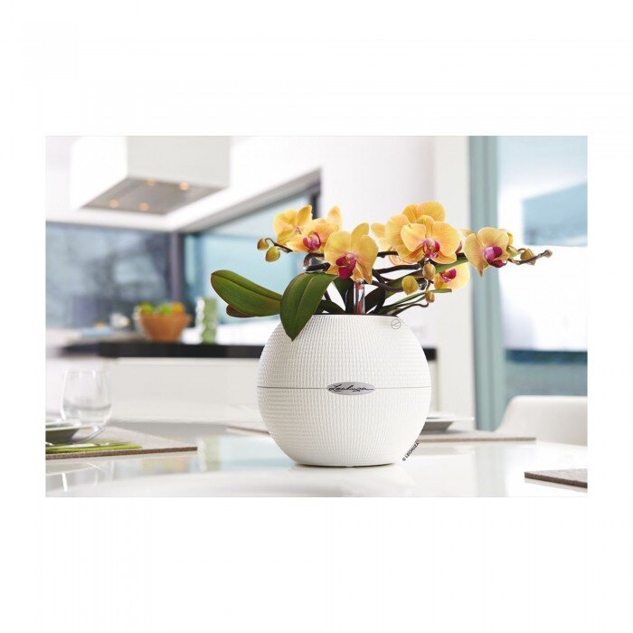 LECHUZA PURO 20 Vaso Con Auto-irrigazione | Bianco, Design Reticolato, Per Interni, Con Substrato E Indicatore Livello