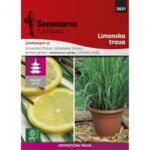 Семена за Лимонова трева ASIA 1,0 гр