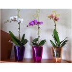 Опора за орхидеи Спирала, лилава AL-Copy