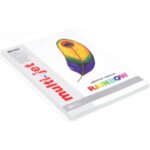Цветна ксерокс хартия RAINBOW, наситена или пастел, 250л, 5цв.