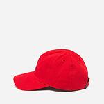 Шапка Nike Air Jordan Curvebrim