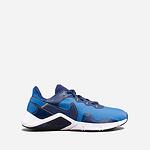 Маратонки NIKE LEGEND ESSENTIAL 2 CQ9356-402