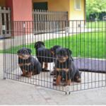 Ferplast DOG TRAINING - къща за куче или преграда за дoма