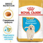 Rpyal Canin Golden Retriever Puppy суха храна за подрастващи кучета от порода Голдън Ретривър - 3 или 12 кг