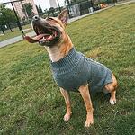 Duvo сив пуловер - различни размери от 30 до 60 см