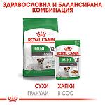 ROYAL CANIN®Mini Ageing Pouch