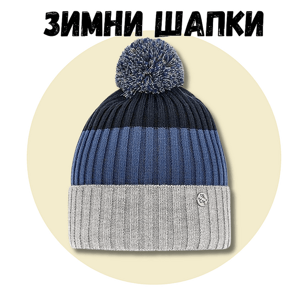Зимни