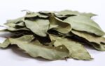 Дафинов лист (Laurus nobilis) листа