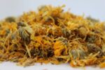 Невен (Calendula officinalis) цвят