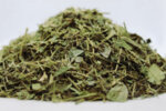 Зимзелен (Vivca herbacea) листа