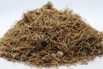 Ранилист (Betonica officinalis) корен