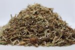 Котешка стъпка (Clinopodium vulgare) стрък