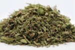 Стевия (Stevia rebaudiana) листа