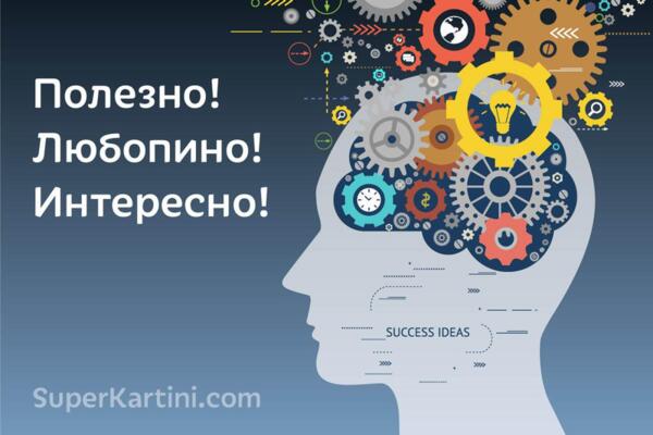 Полезно Любопитно Интересно