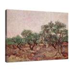 Винсент ван Гог - Бране на маслини №7082