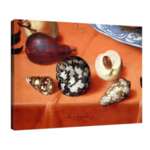 Балтазар ван дер Аст - Натюрморт с плодове и морски черупки №7683