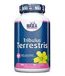 HAYA LABS Tribulus Terrestris 500 mg - 90 капс.