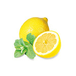 Сапун за измиване на съдове с екстракт от Сапунени ядки и Камелия - Mint & Lemon