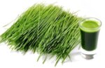 Фин зелен ечемик стръкове 100% - 200 g – Мощна подкрепа за имунната система