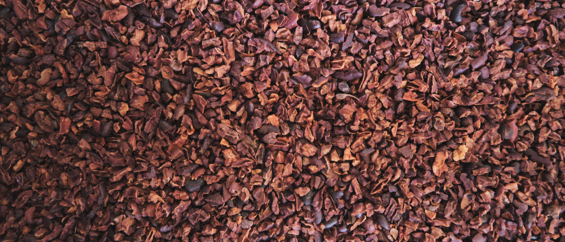Полезни качества на какаовите зърна