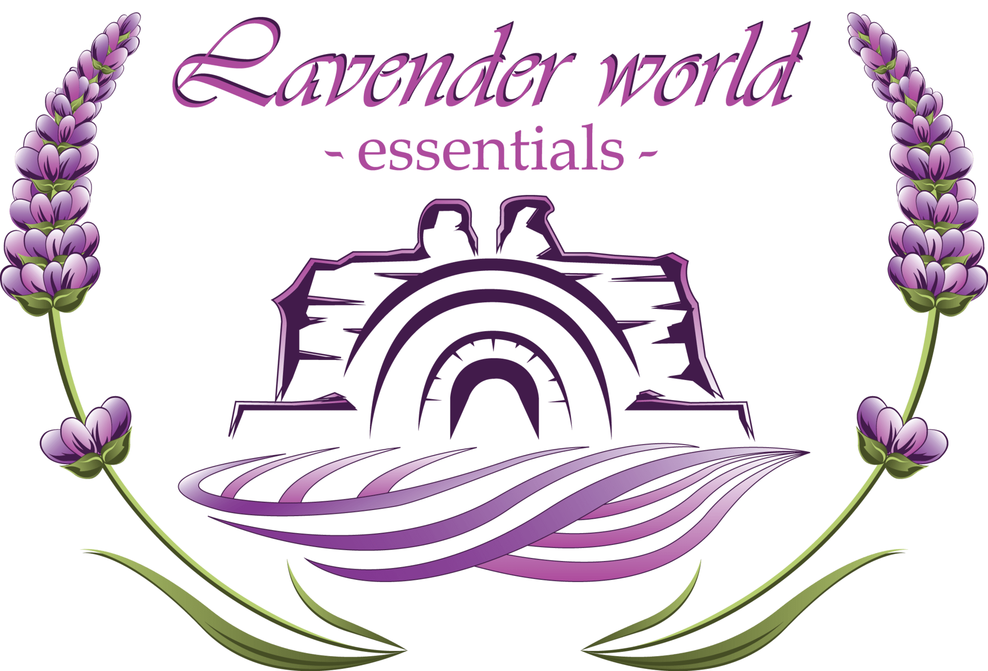 lavenderworldhissar