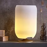 Лампа, Охладител и Bluetooth тон колонка Kooduu Atmos Silver