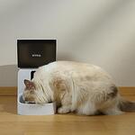 Automatic dog and cat food dispenser with WiFi app and camera