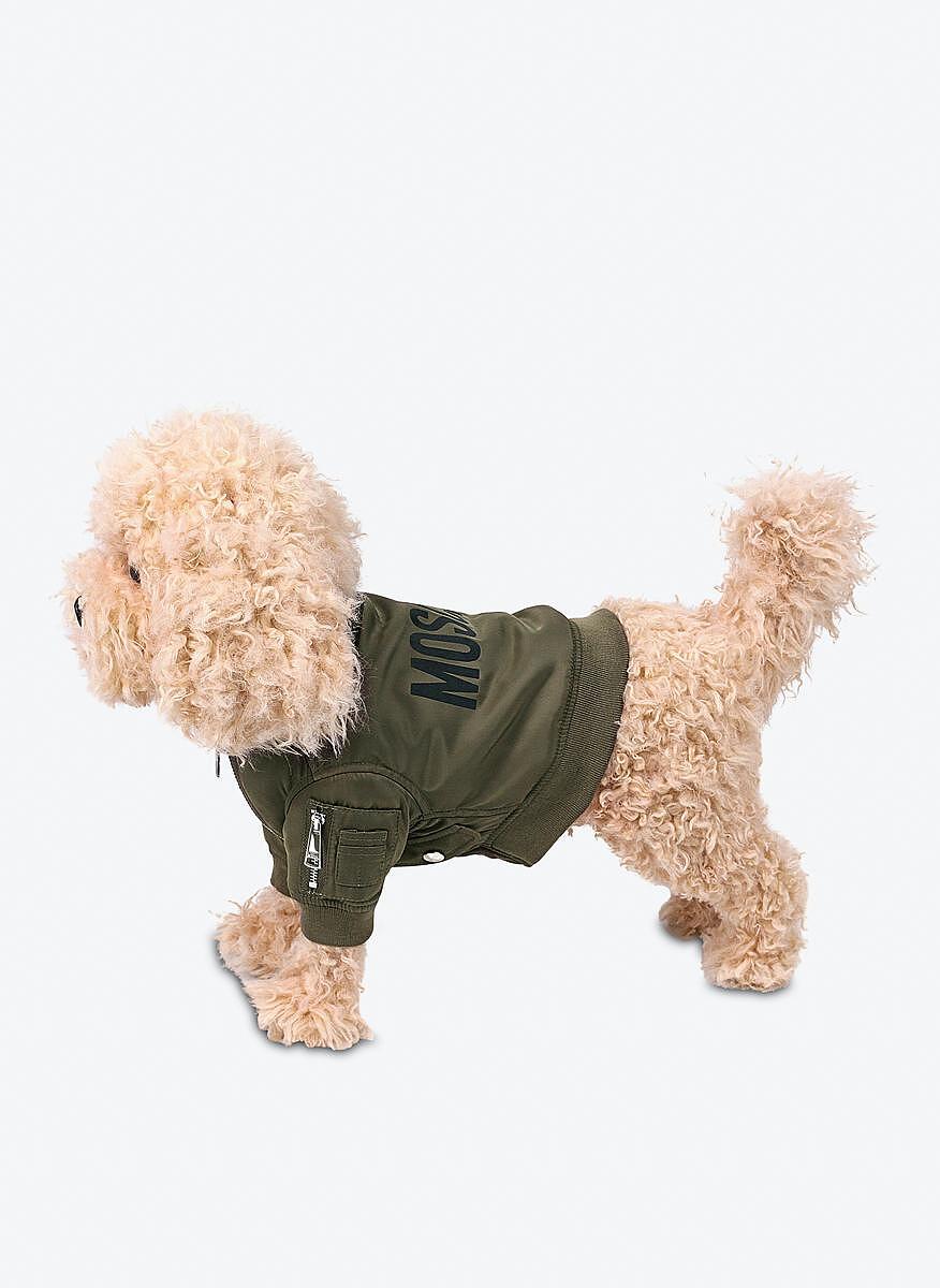 Яке 'Bomber' Moschino Couture Pets