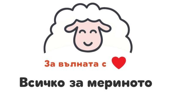 За вълната с любов - всичко за мериното