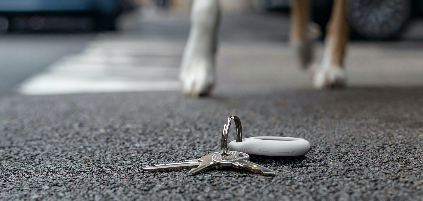 Belkin AirTag Secure Holder Lock