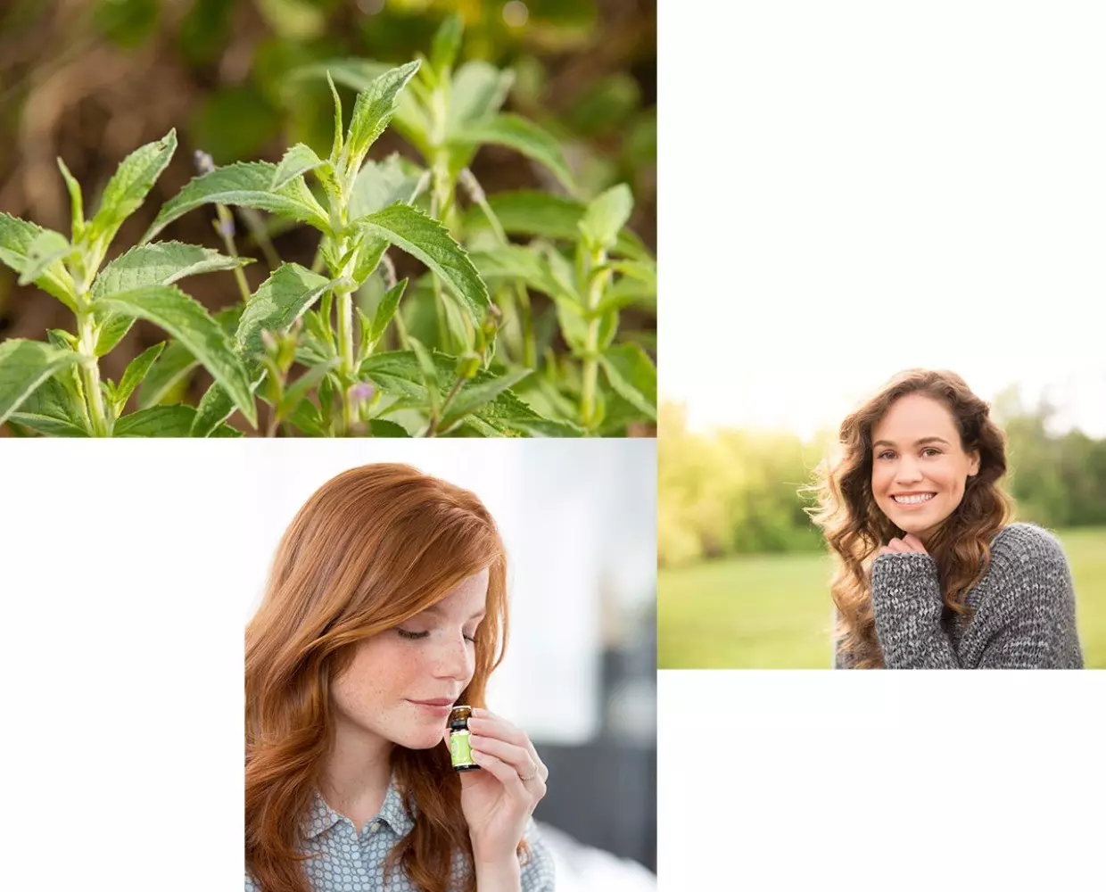pfefferminze collage jpg 1da5623bcdeb5a14e8bdd840fe15e170