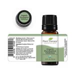 Етерично масло Евкалипт Globulus, Oрганик, 10 мл Plant Therapy