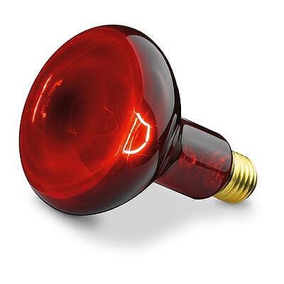 Инфрачервена крушка 100W за Beurer IL 11