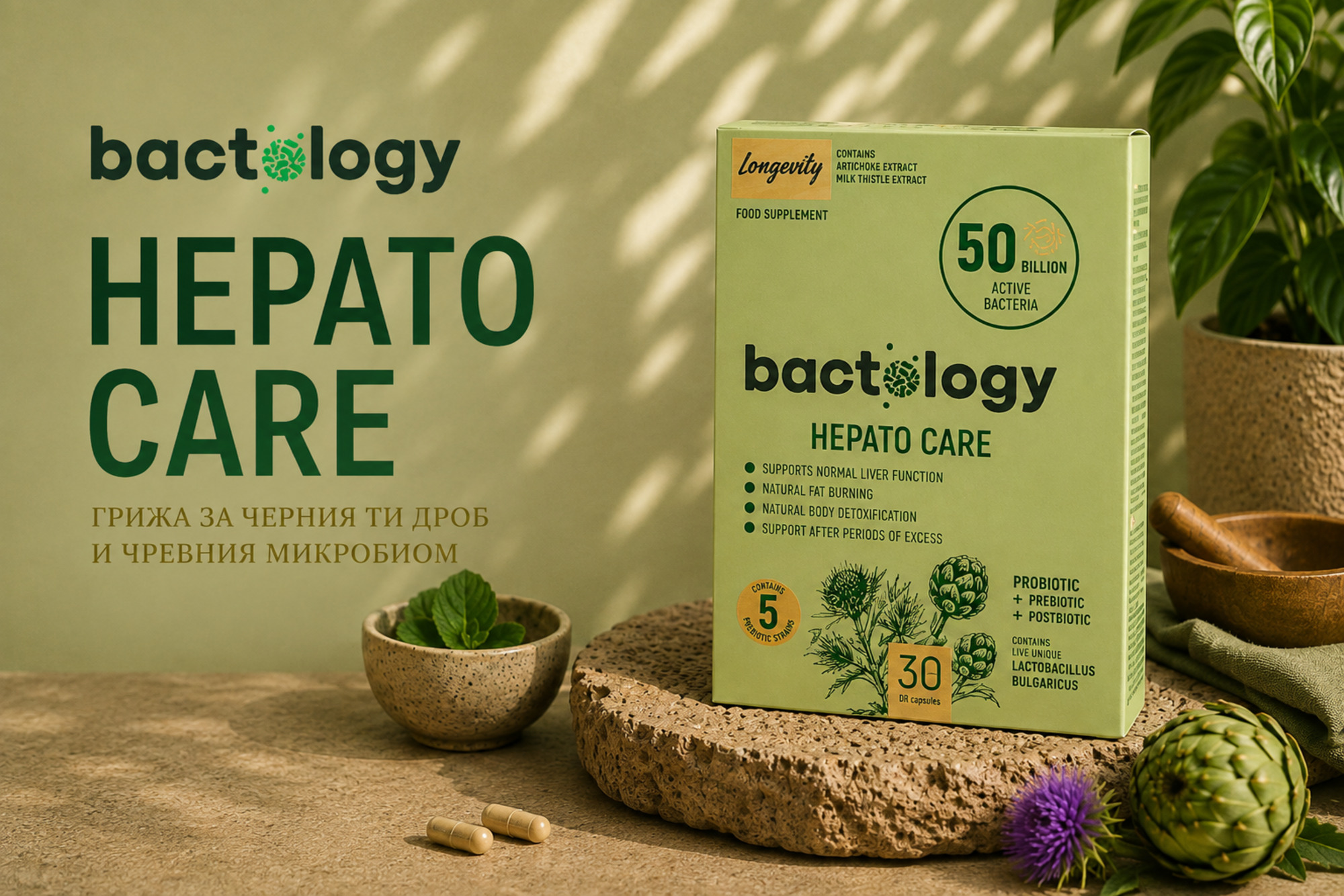 bactology Hepato Care