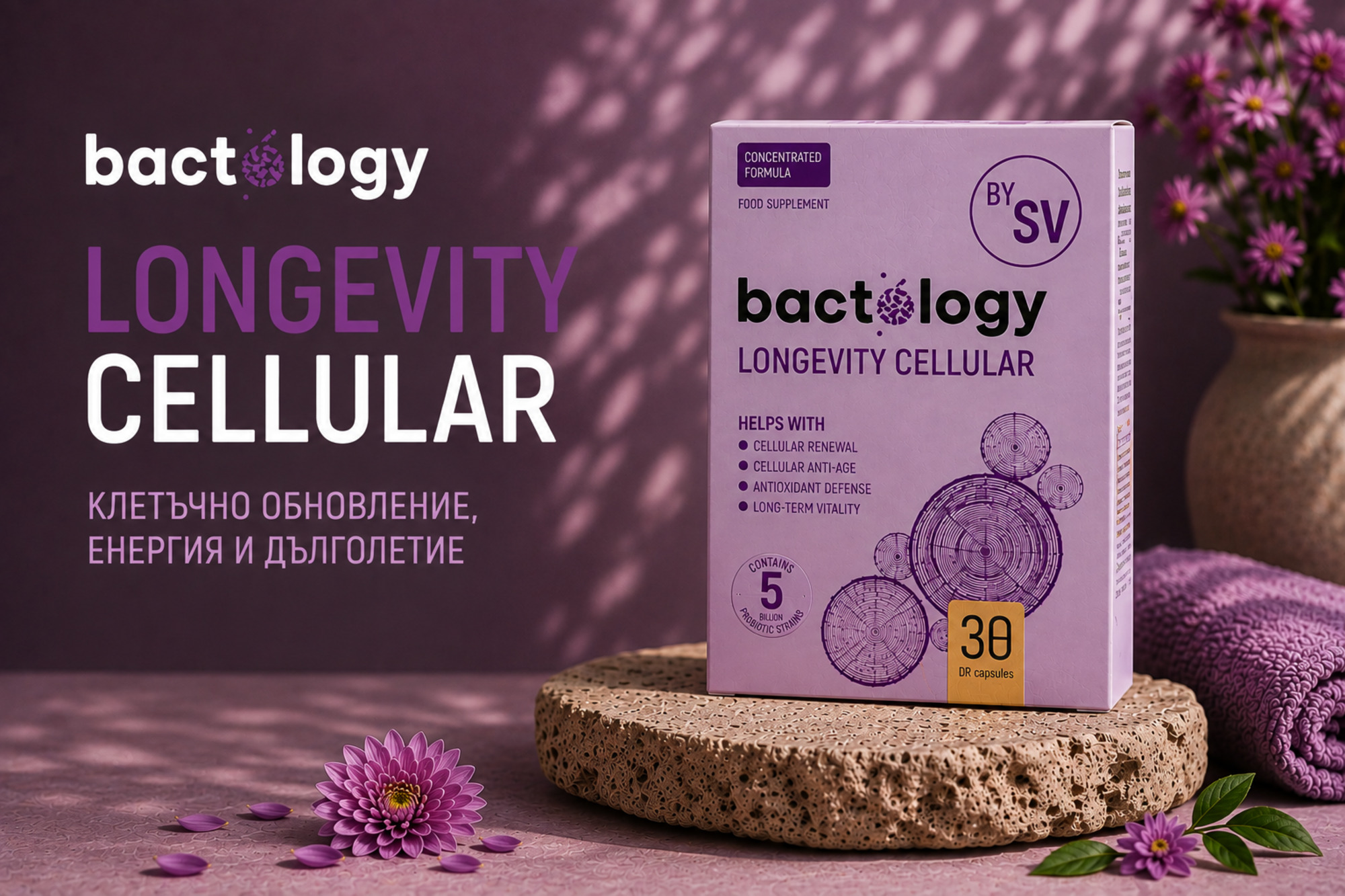 bactology Longevity Cellular