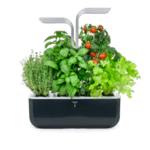 Домашна градина SMART VÉRITABLE® GARDEN - цвят черен/инокс