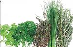 GEFU Резачка за зеленчуци и подправки  “TRITARE“