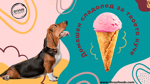 Домашен сладолед за твоето куче!